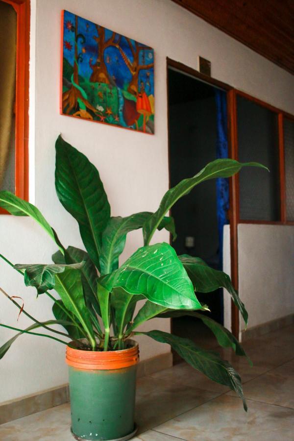 Casa Pacha Guaduas Exterior foto